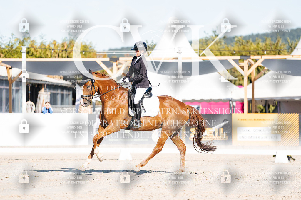 CK907203 | Turnierfotografie Pferdefotografie Trier Rheinland-Pfalz Pferdesport Reitsport Tierfotografie Sportfotografie Pferdevideo Pferdevideografie Equestrianvideography equestrianphotography  - Realisiert mit Pictrs.com