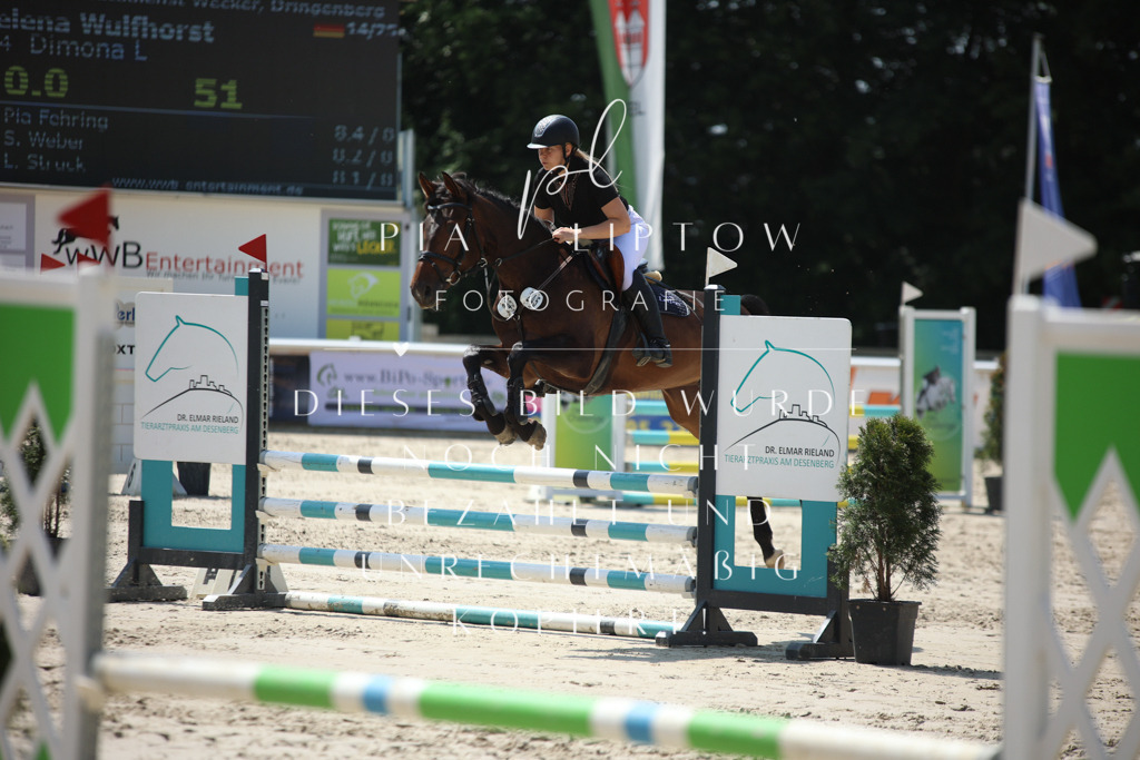 IMGM5420 | pl-fotografie