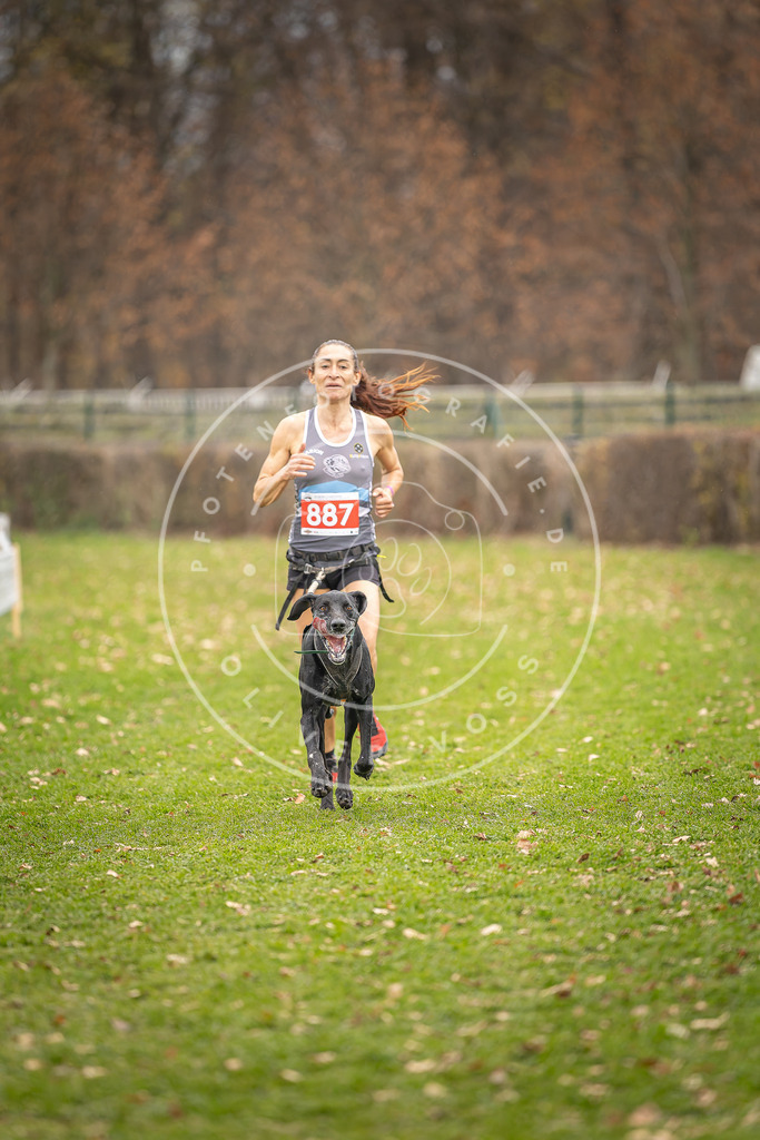 CaniXpix_DV3A6890 | Hundefotografie, Tierfotograf, Pfotenfotografie, Fotoshooting Hund, Hunde Portrait, Hundesport, Hundeportraits, Heideshooting, Hunde, Sportfotograf, Hundefotograf, Turnierhundsport, THS,  - Realisiert mit Pictrs.com