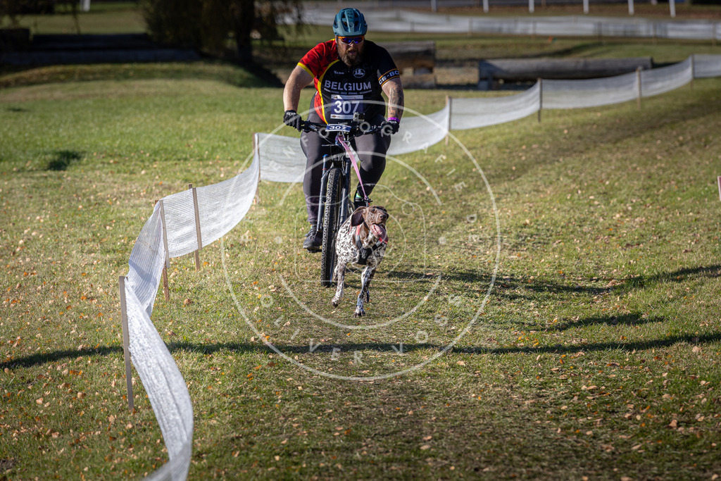 CaniXpix_DV3A6287 | Hundefotografie, Tierfotograf, Pfotenfotografie, Fotoshooting Hund, Hunde Portrait, Hundesport, Hundeportraits, Heideshooting, Hunde, Sportfotograf, Hundefotograf, Turnierhundsport, THS,  - Realisiert mit Pictrs.com