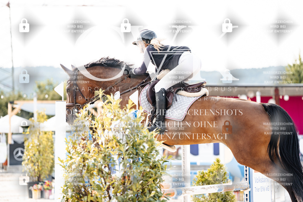 CK906771 | Turnierfotografie Pferdefotografie Trier Rheinland-Pfalz Pferdesport Reitsport Tierfotografie Sportfotografie Pferdevideo Pferdevideografie Equestrianvideography equestrianphotography  - Realisiert mit Pictrs.com