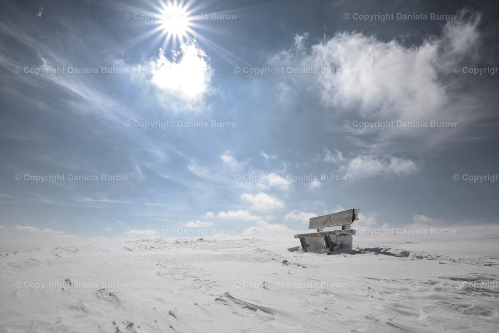 Feldberg | danielaburow - Realisiert mit Pictrs.com