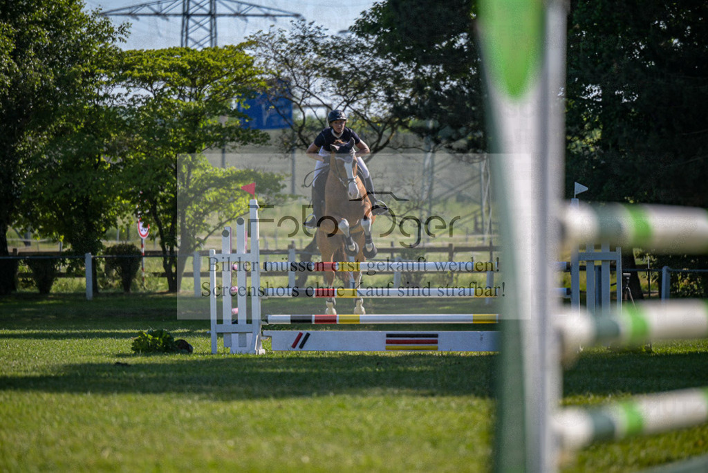 Reitturnier Voxtrup | Entdecke hochwertige Reitturnierfotos von Foto Oger. Professionell, emotional und authentisch – jetzt Lieblingsmomente im Shop bestellen.Deutschlandweite Turnierfotografie. - Realisiert mit Pictrs.com