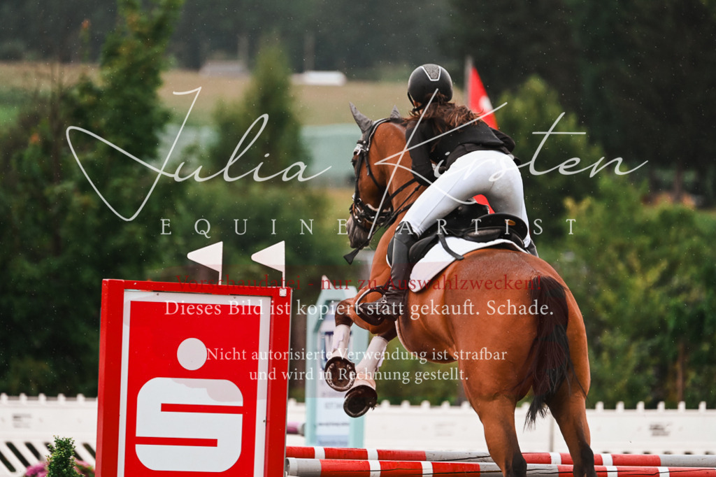 DSC_6647 | Pferde- und Turnierfotografie in Westsachsen. Pferdeportraits, Auftragszeichnungen und intuitive Kunst.