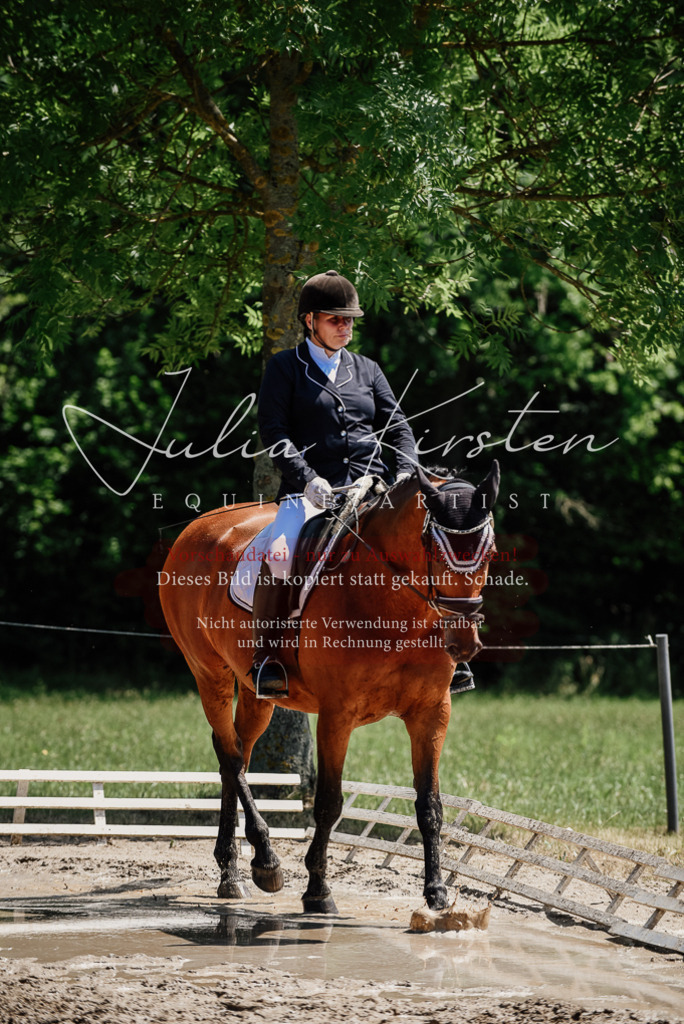 DSC_1977 | Pferde- und Turnierfotografie in Westsachsen. Pferdeportraits, Auftragszeichnungen und intuitive Kunst.