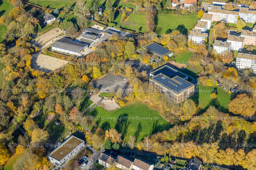 Hagen251103782 | Luftbild, Gemeinschaftsgrundschule, Friedrich-Harkort, Schule Westerbauer mit Solardach, herbstliche Bäume,  Haspe-West, Hagen, Ruhrgebiet, Nordrhein-Westfalen, Deutschland