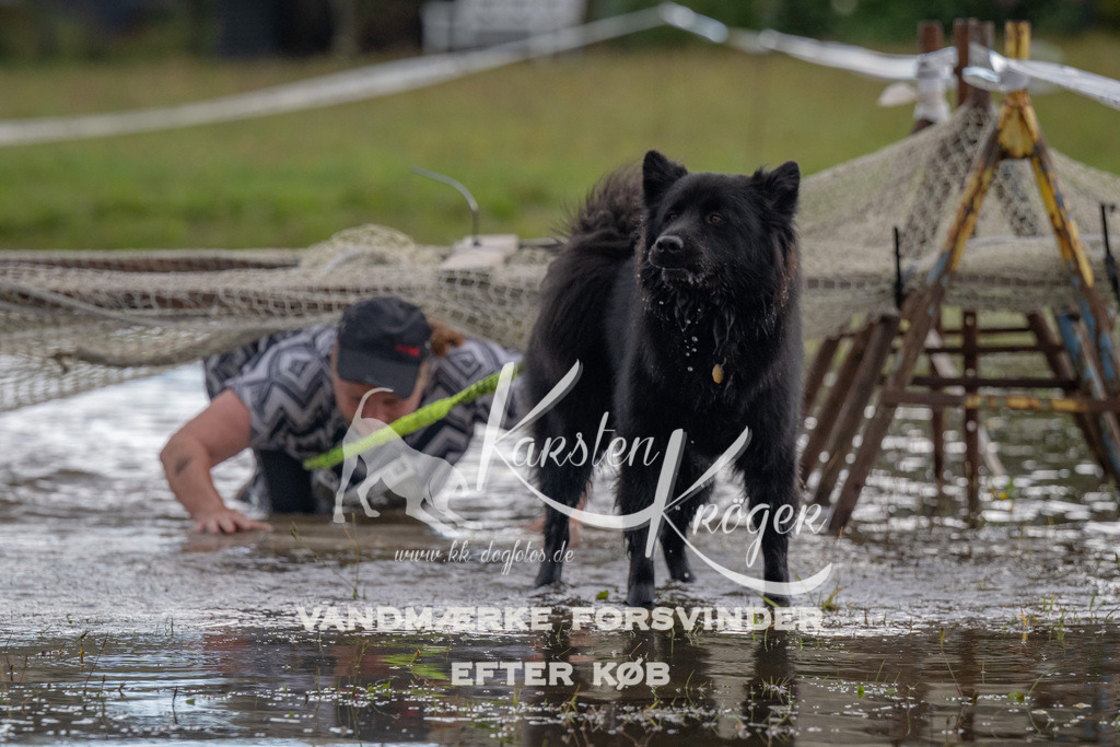 1433_ZZ90204 | kk-dogfotos