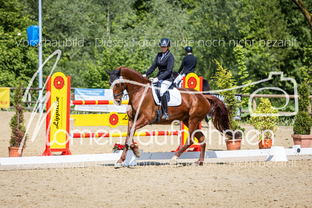 Donop24-L-Dre-054 | MomenTaufnahmen Pferdesportfotos