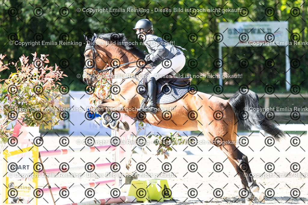 CL5A1660 | Emilia Reinking Fotografie - Realisiert mit Pictrs.com