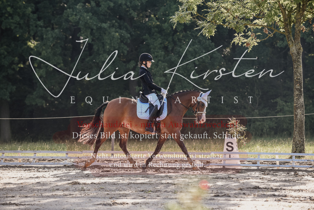 DSC_7849 | Pferde- und Turnierfotografie in Westsachsen. Pferdeportraits, Auftragszeichnungen und intuitive Kunst.