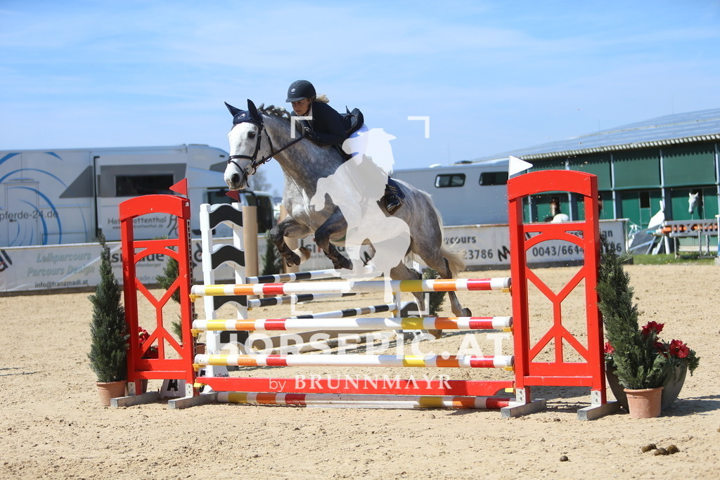 DL2Q0221 | Willkommen bei Brunnmayr - Design & Fotografie – Ihrem Spezialisten für Reitturniere und Pferdeveranstaltungen in Oberösterreich, Salzburg und Bayern! Seit über 17 Jahren sind wir leidenschaftlich dabei.