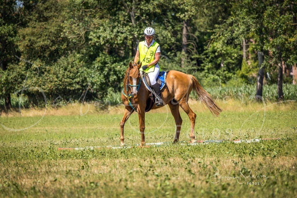 CJP_2026-06-26_119 | Stimmungsvolle Fotografie von Pferden, fotografische Begleitung von Veranstaltungen, Golfturnieren und Distanzritten - Realisiert mit Pictrs.com