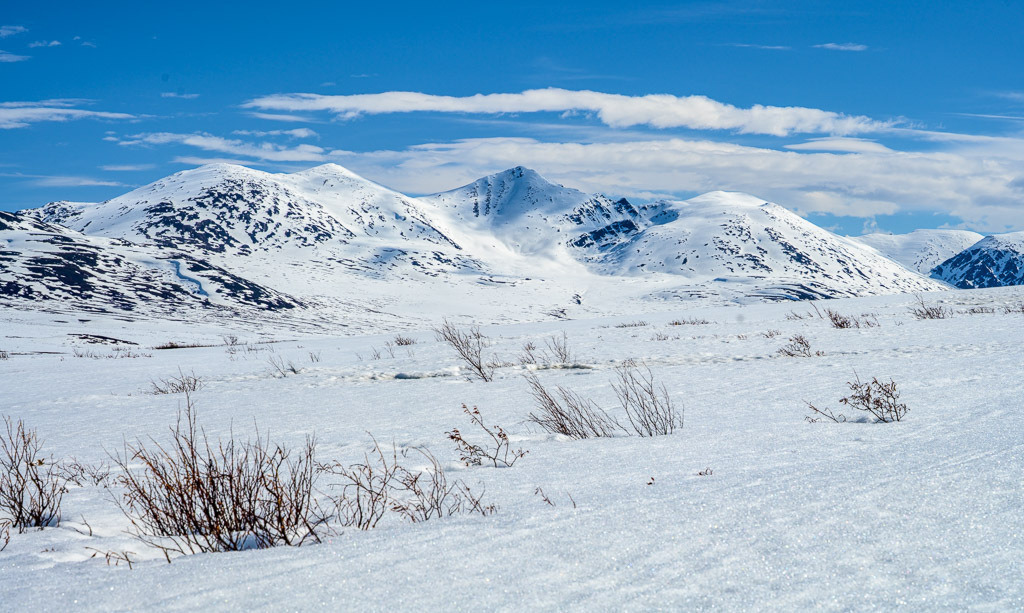Alaska | Denali Highway - Realisiert mit Pictrs.com