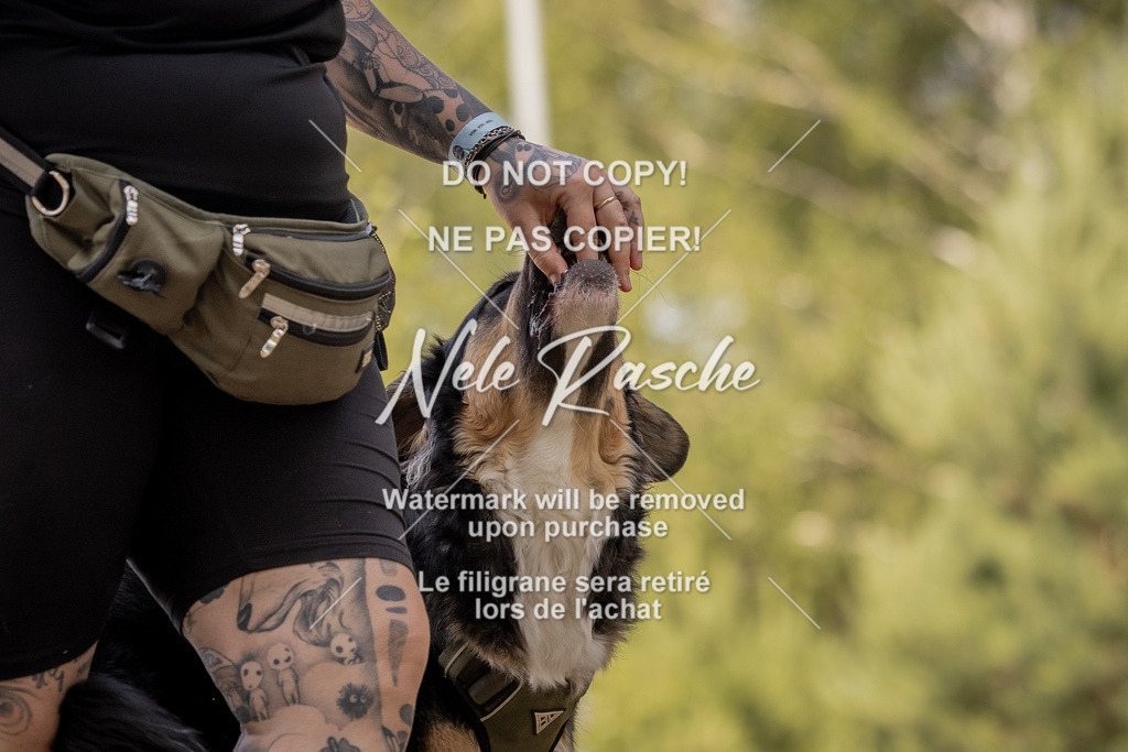 nelerasche_soDD2_244 | nelerasche