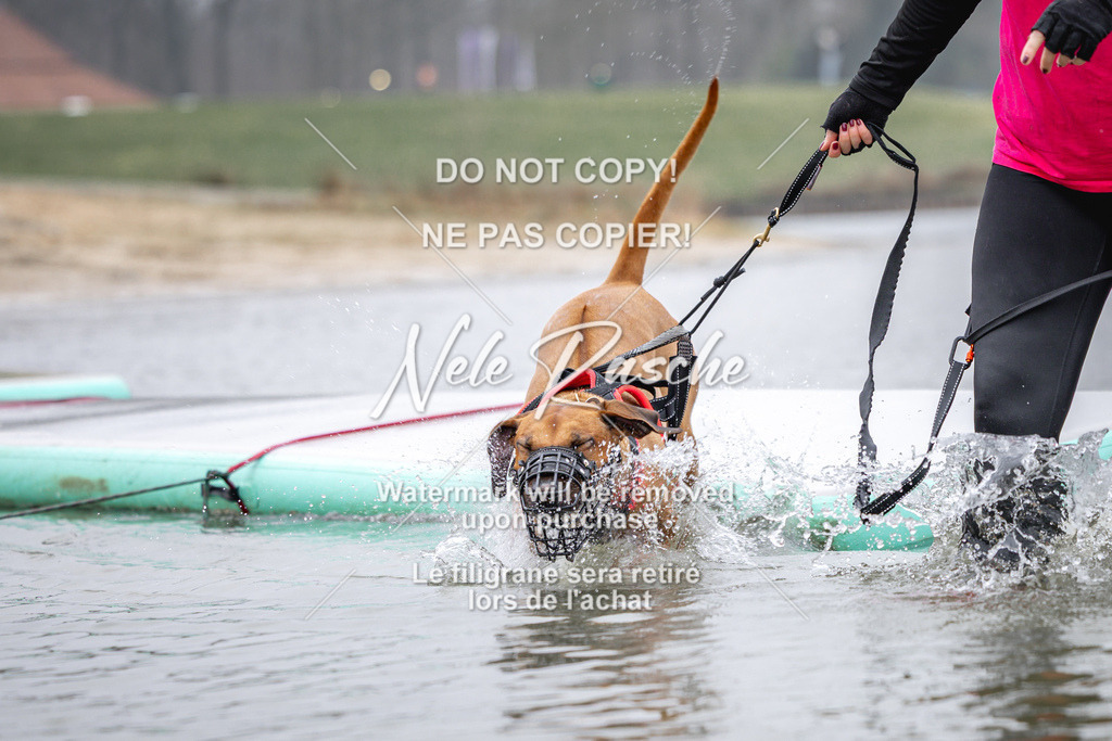 nelerasche_Hulsbeek_Sa1030-1100_216 | nelerasche
