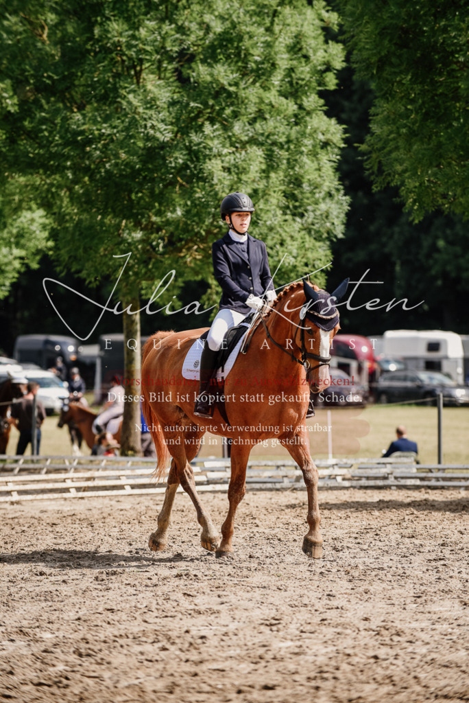 DSC_9980 | Pferde- und Turnierfotografie in Westsachsen. Pferdeportraits, Auftragszeichnungen und intuitive Kunst.