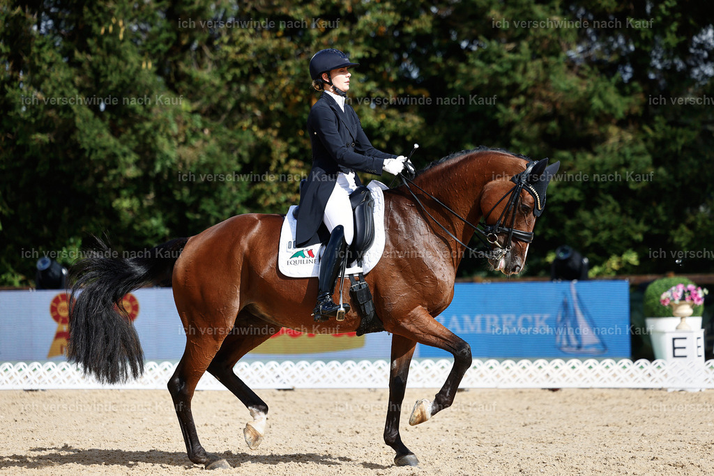07-003-DRESSUR  S___  -StoibPH-5077 | working equitationturnier fotograf videograf stoibphotography marixx film working equitation deutschland reitsport turnierfotografie eventfotografie equestrian events