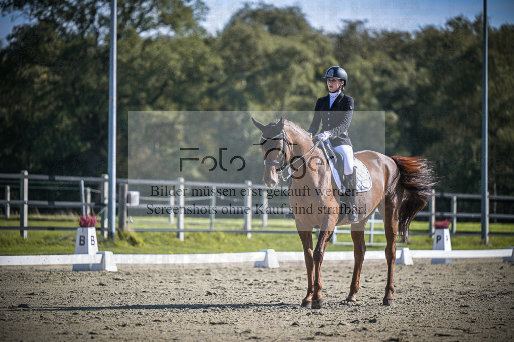 DOS_2886 | Entdecke hochwertige Reitturnierfotos von Foto Oger. Professionell, emotional und authentisch – jetzt Lieblingsmomente im Shop bestellen.Deutschlandweite Turnierfotografie. - Realisiert mit Pictrs.com