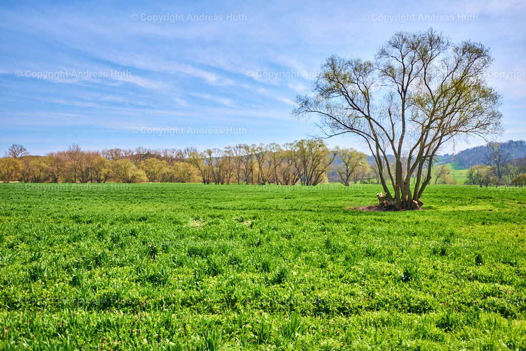 In der Elsteraue bei Ahlendorf 04 | Bedeutsame Landschaften Deutschlands - Realisiert mit Pictrs.com