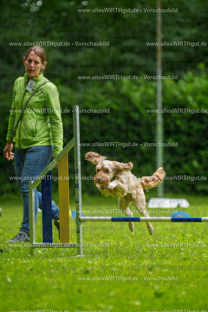 @allesWIRTHgut_Tierfotografie - www.allesWIRTHgut.de - 092129-7R506964 | Professionelle Tierfotografie in Mönchengladbach von Daniel Wirth (allesWIRTHgut). Liebevolle & natürliche Bilder von Hunden & Katzen für unvergessliche Erinnerungen.