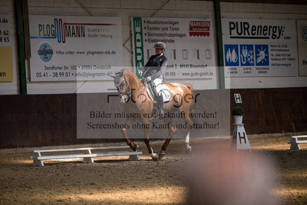 Reitturnier Voxtrup | Entdecke hochwertige Reitturnierfotos von Foto Oger. Professionell, emotional und authentisch – jetzt Lieblingsmomente im Shop bestellen.Deutschlandweite Turnierfotografie. - Realisiert mit Pictrs.com