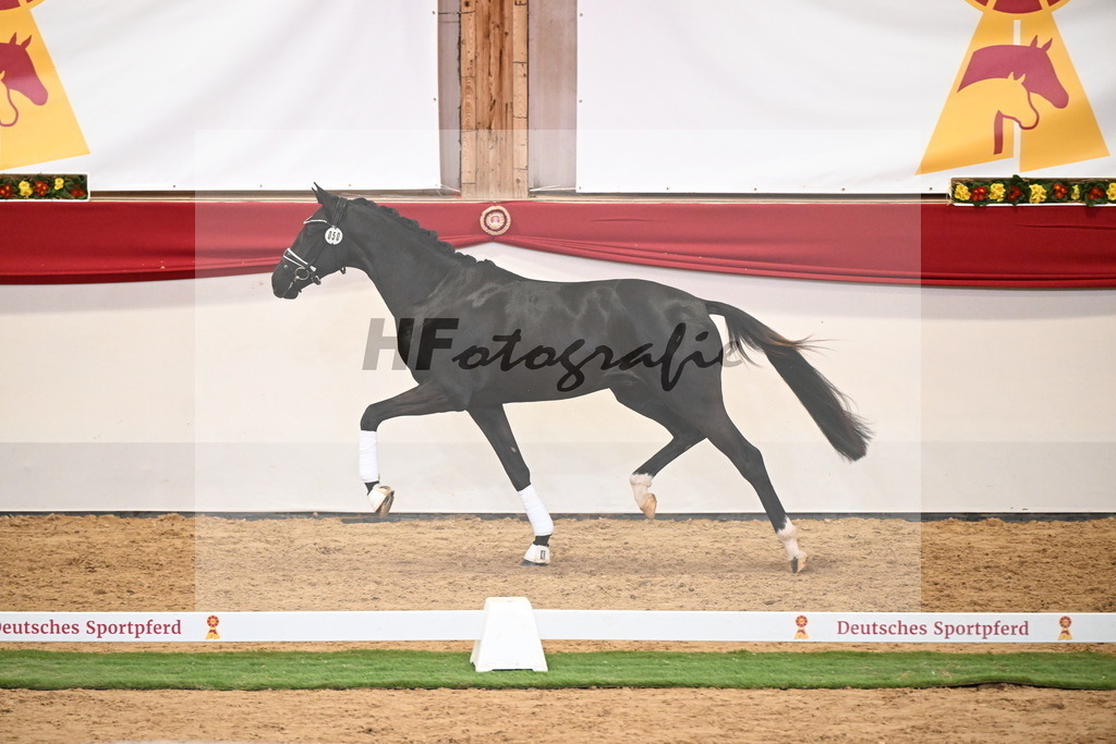 Kat.-Nr. 50 v. Donier_Meyer_2250191 | hf-fotografie - Realisiert mit Pictrs.com