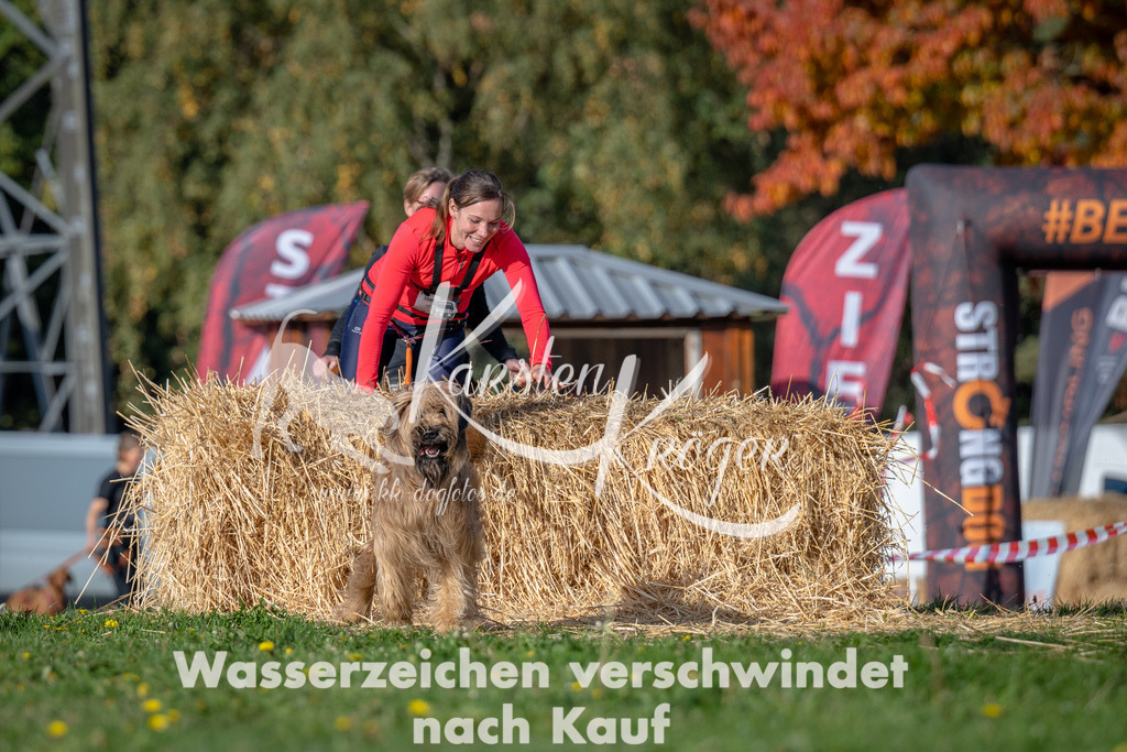 1025_ZZ90143 | kk-dogfotos