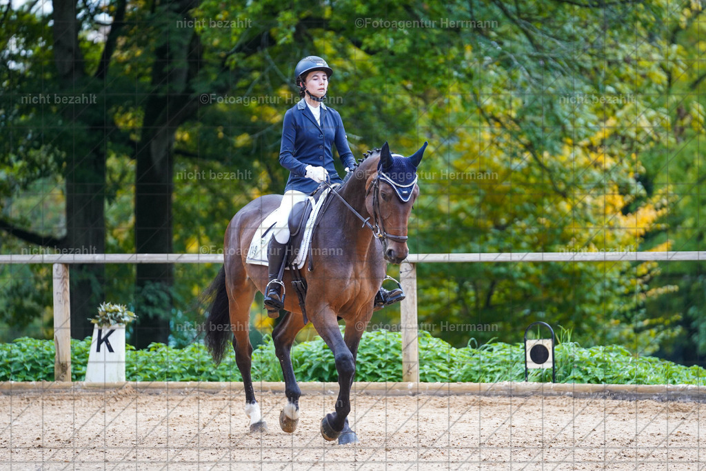 20221008-FAH00713 | Diessen am Ammersee, 2022, Dressur- und Springturnier, Reitsportbilder, Turnierfotografen Bayern, Pferdefotografen, Fotoagentur Herrmann, Turnierbilder