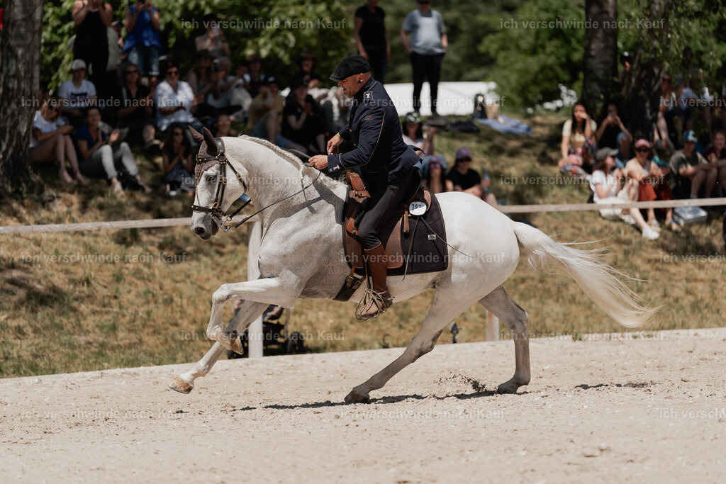 WE_SP_Stoib_327_PI2025_1935 | Pferd International München 2025