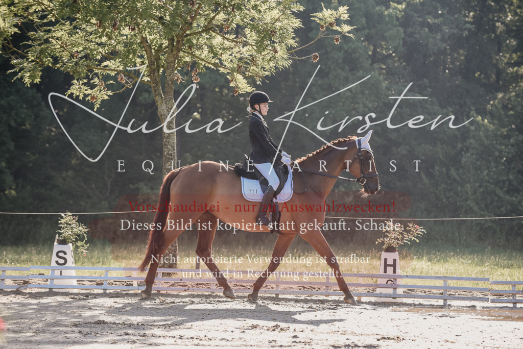 DSC_7723 | Pferde- und Turnierfotografie in Westsachsen. Pferdeportraits, Auftragszeichnungen und intuitive Kunst.