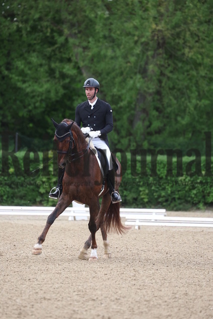Böblingen_2023_Prfg_Nr.01_Dressur_Kl.S_Kür_Tobias Eckert_Bon Jovi - R (14) | Alle Fotos der Reiterjournal Fotografin Doris Matthaes im Reiterjournal Online-Fotoshop. - Realisiert mit Pictrs.com