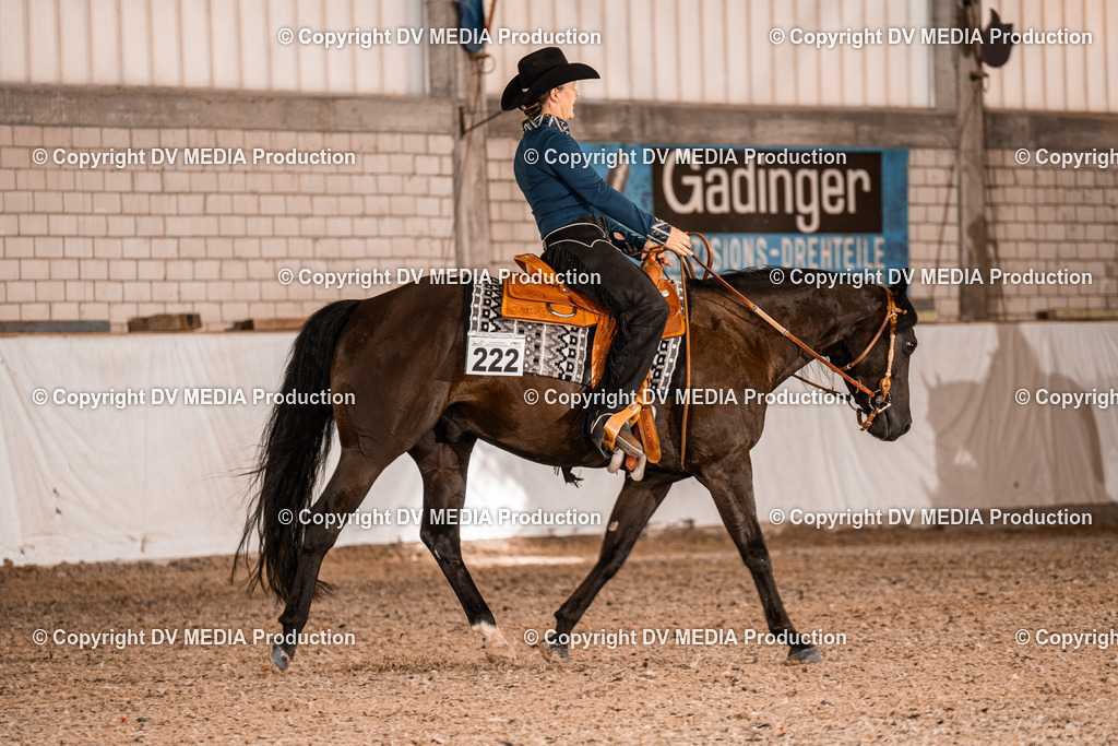 ZH100269 | dv-media-shop - Realisiert mit Pictrs.com