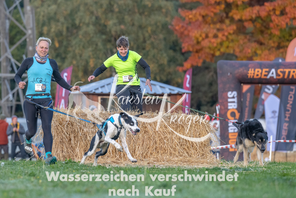0834_ZZ90781-Bearbeitet | kk-dogfotos
