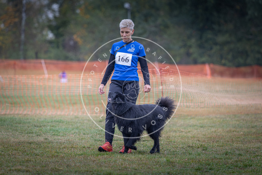Pfotenfotografie_DV3A8952 | Hundefotografie, Tierfotograf, Pfotenfotografie, Fotoshooting Hund, Hunde Portrait, Hundesport, Hundeportraits, Heideshooting, Hunde, Sportfotograf, Hundefotograf, Turnierhundsport, THS,  - Realisiert mit Pictrs.com