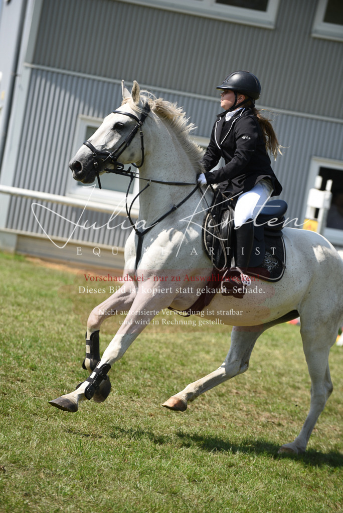 DSC_9885 | Pferde- und Turnierfotografie in Westsachsen. Pferdeportraits, Auftragszeichnungen und intuitive Kunst.