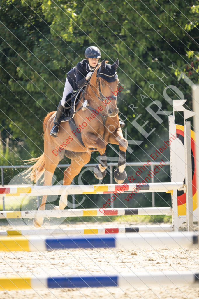IMG_3372 | Sport-, Event- und Tierfotos in Profiqualität. Einfach auswählen, bestellen und herunterladen. Dein Moment – perfekt festgehalten.