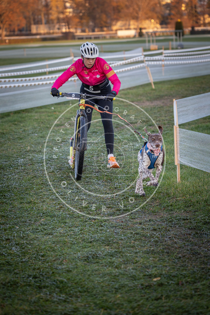 CaniXpix_0L8A1039 | Hundefotografie, Tierfotograf, Pfotenfotografie, Fotoshooting Hund, Hunde Portrait, Hundesport, Hundeportraits, Heideshooting, Hunde, Sportfotograf, Hundefotograf, Turnierhundsport, THS,  - Realisiert mit Pictrs.com