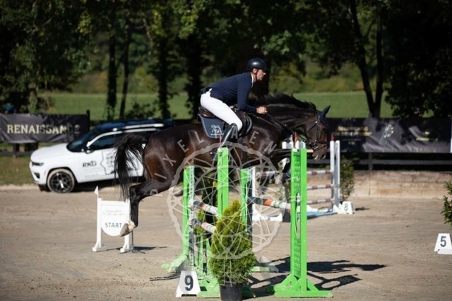 2B4A0578 | pixelfaenger - Realisiert mit Pictrs.com