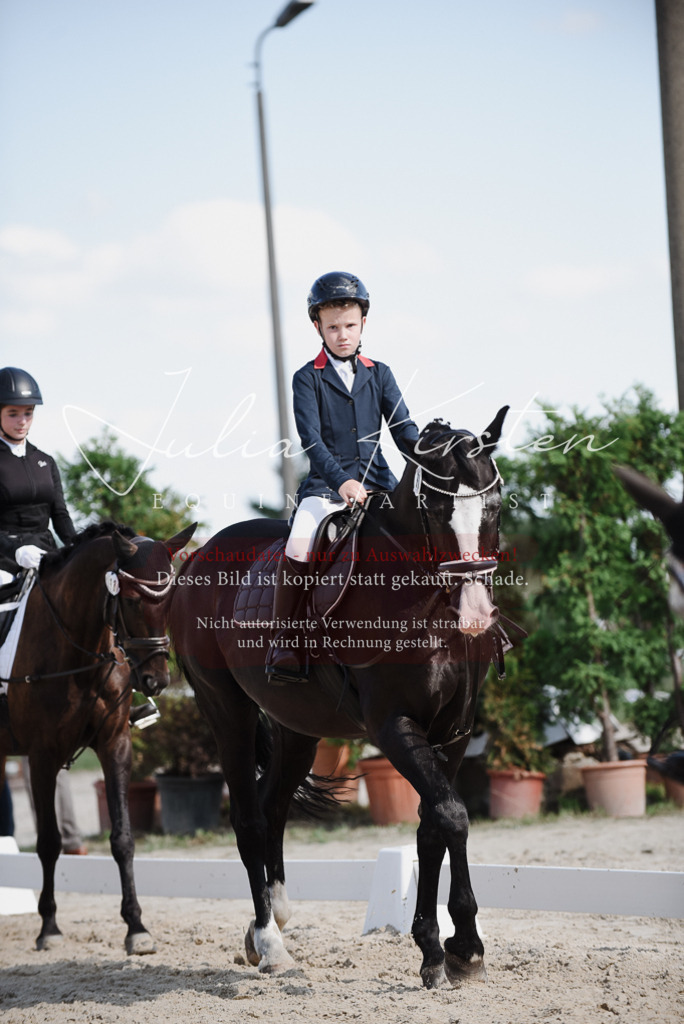 DSC_0017 | Pferde- und Turnierfotografie in Westsachsen. Pferdeportraits, Auftragszeichnungen und intuitive Kunst.