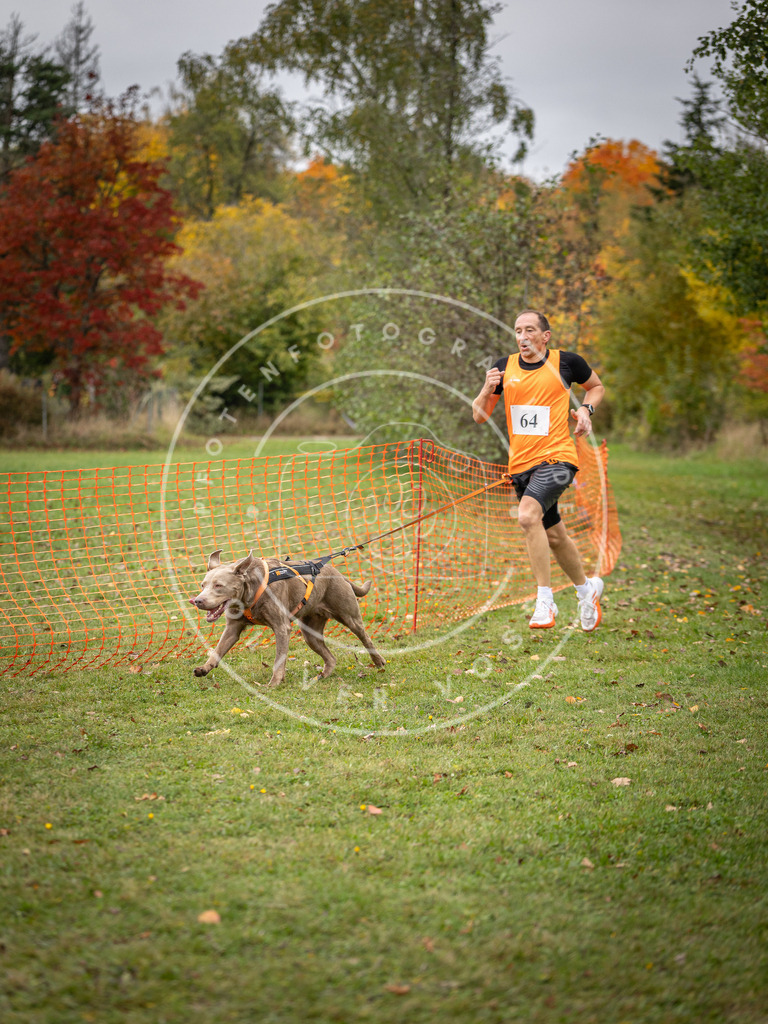 Pfotenfotografie_DV3A2742 | Hundefotografie, Tierfotograf, Pfotenfotografie, Fotoshooting Hund, Hunde Portrait, Hundesport, Hundeportraits, Heideshooting, Hunde, Sportfotograf, Hundefotograf, Turnierhundsport, THS,  - Realisiert mit Pictrs.com