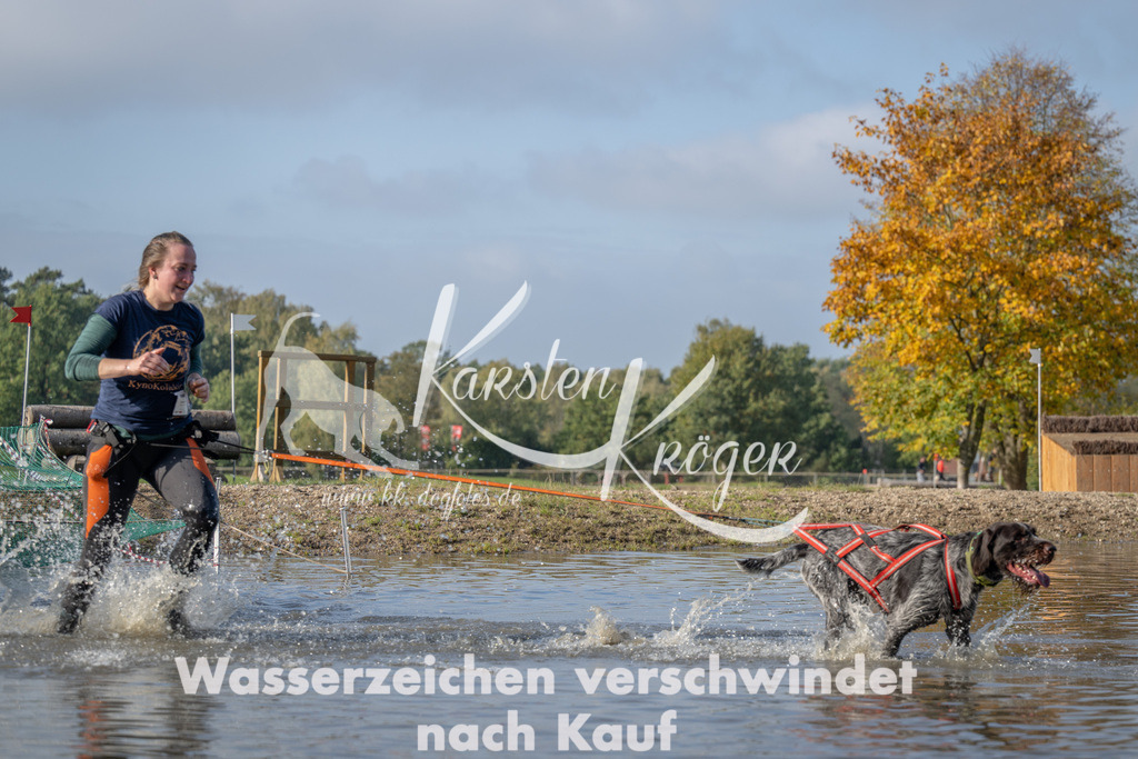 1103_ZZ91206 | kk-dogfotos