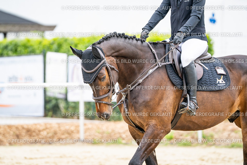 DSC09766 | Pferdegrafie