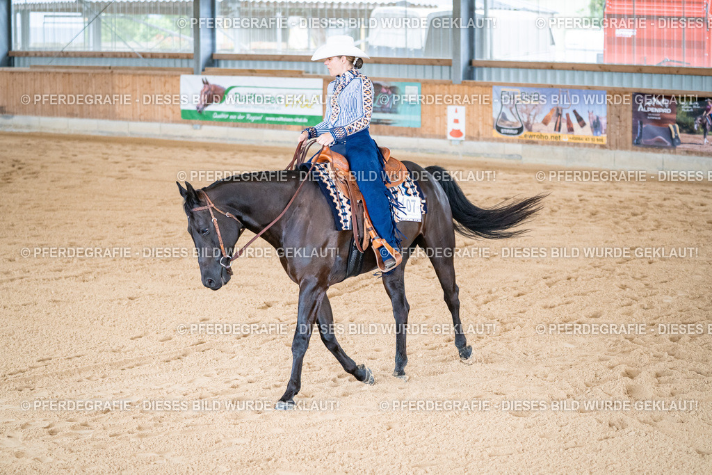 DSC01935 | Pferdegrafie