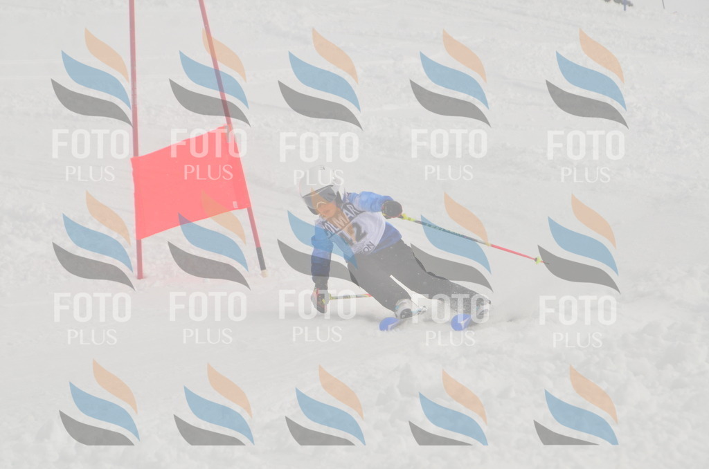 A5325 | holidayphoto