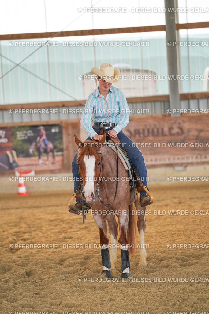 DSC08700 | Pferdegrafie