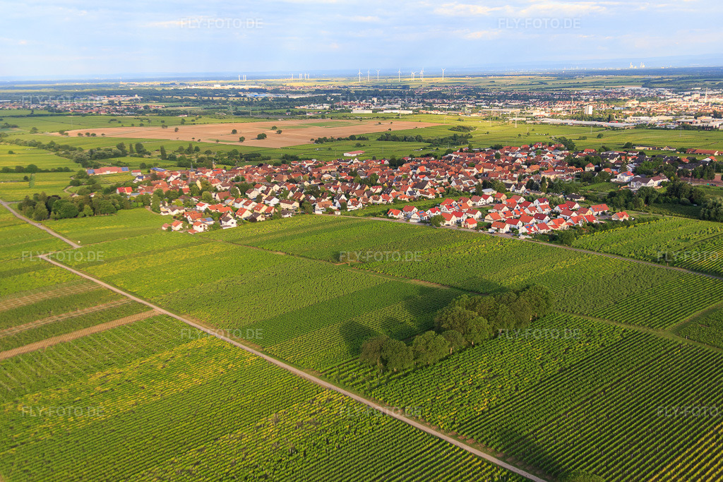 Luftbild: Kirchhol im Ortsteil Nußdorf in Landau im Bundesland Rheinland-Pfalz in Deutschland. Foto: IMG_090168.jpg vom 26.06.2016 durch Werner Riehm/FLY-FOTO.de