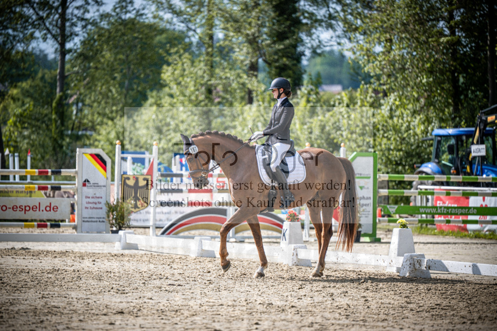 DOS_4644 | Reitturnier Venne - Realisiert mit Pictrs.com