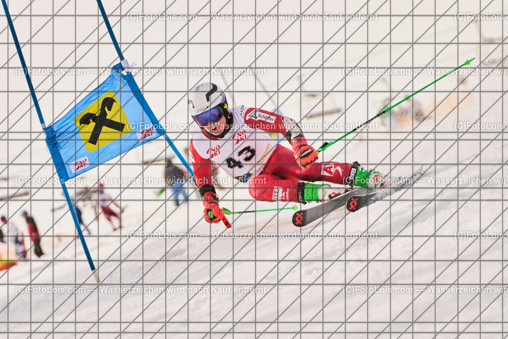 ALP8233_Herrn-FIS-GS-I_Lackenhof-WY_Berkmann Philipp | Internationaler FIS GiantSlalom der Herrn auf der Distelpiste in Lackenhof am Mo 10. März 2025.  Österreich, LSV-NÖ, Sportunion Waidhofen/Ybbs (2035).