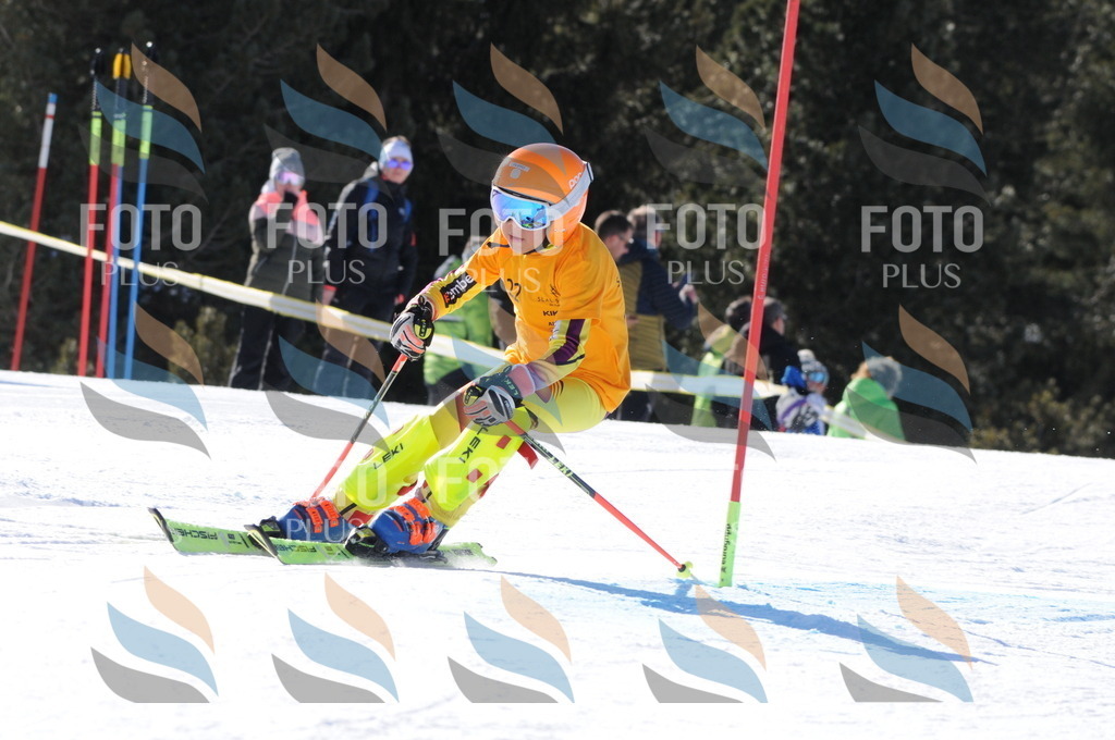 C7172 | holidayphoto