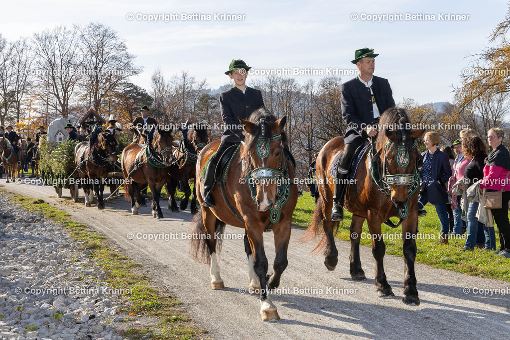 LBT24-1486 | foto-bettina-krinner - Realisiert mit Pictrs.com